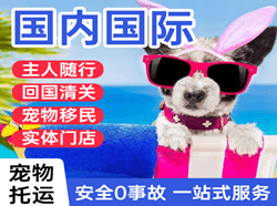 三亚机场快递国际宠物托运 【国
